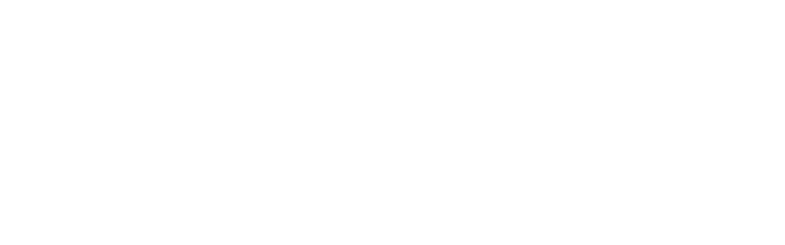 Swan Hellenic FIT 2026